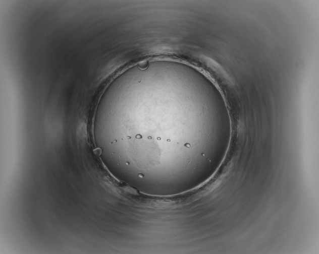 X0000115791209200911201325