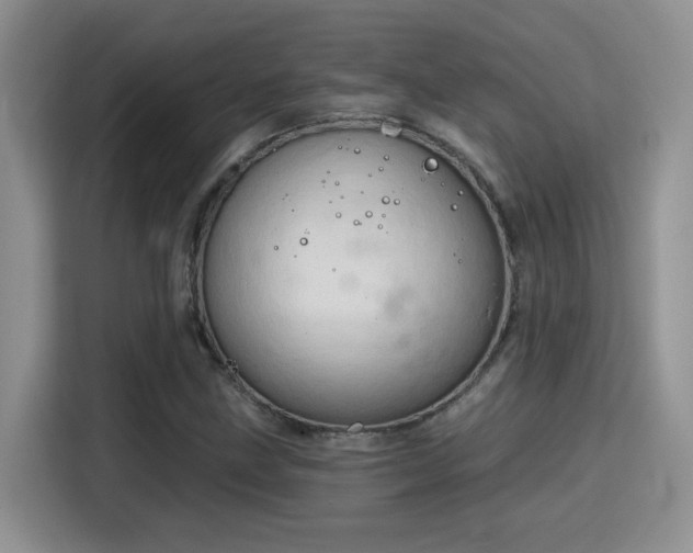 X0000115791211200911201325