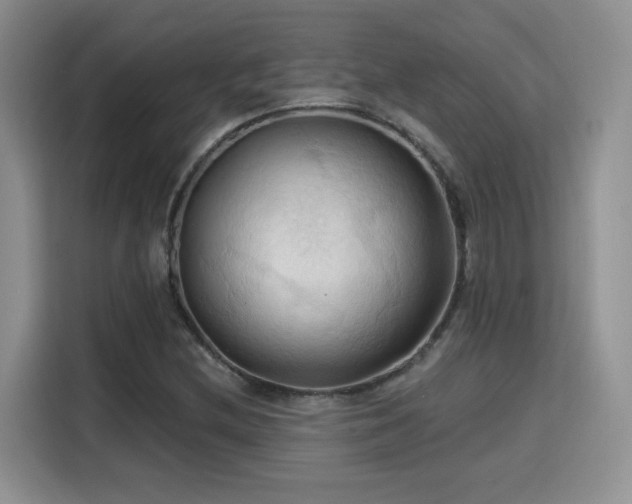 X0000115791212200911201325