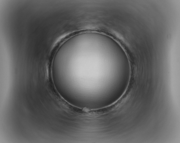 X0000115791214200911201325