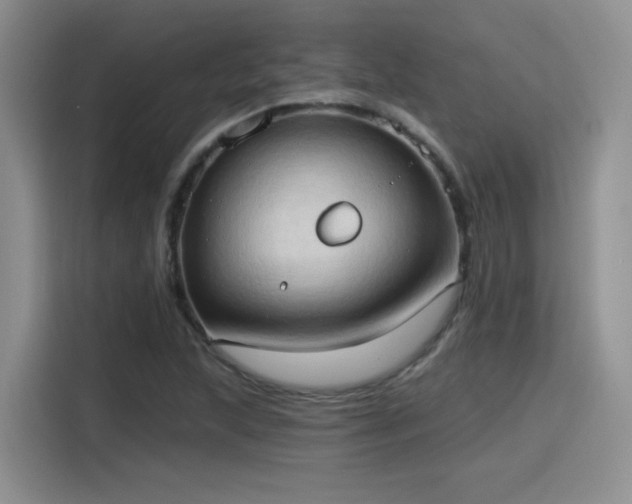 X0000115791215200911201325