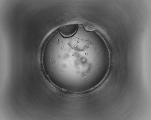 X0000115791216200911201325