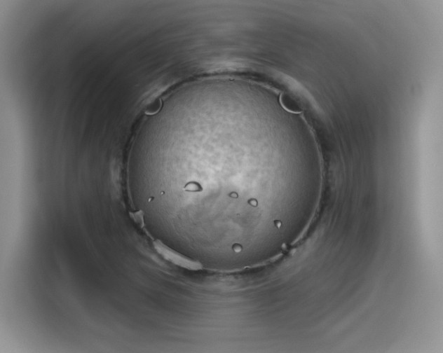 X0000115791217200911201325