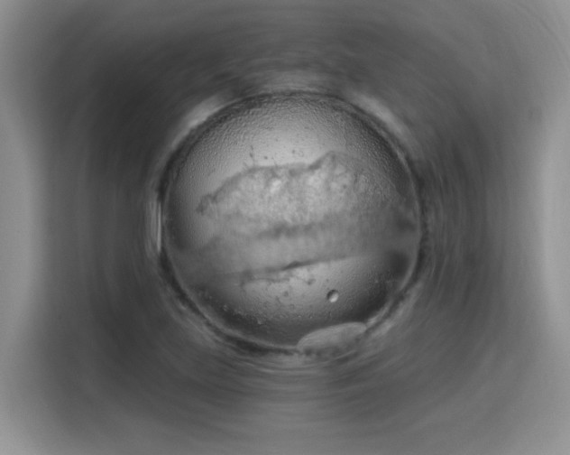 X0000115791219200911201325