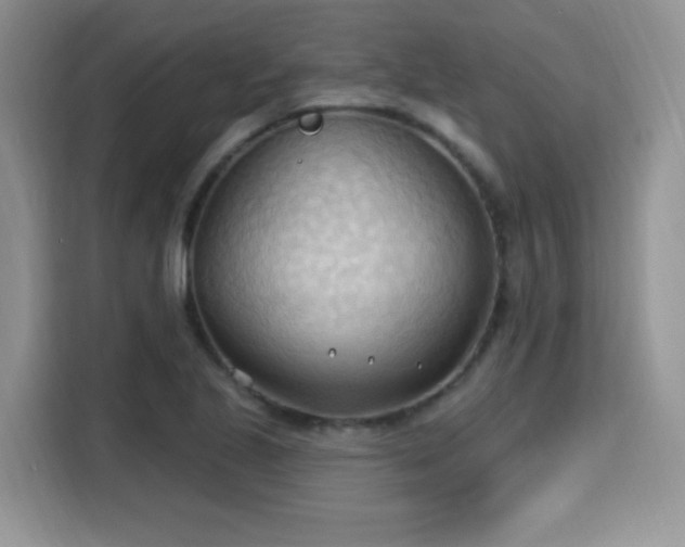 X0000115791221200911201325