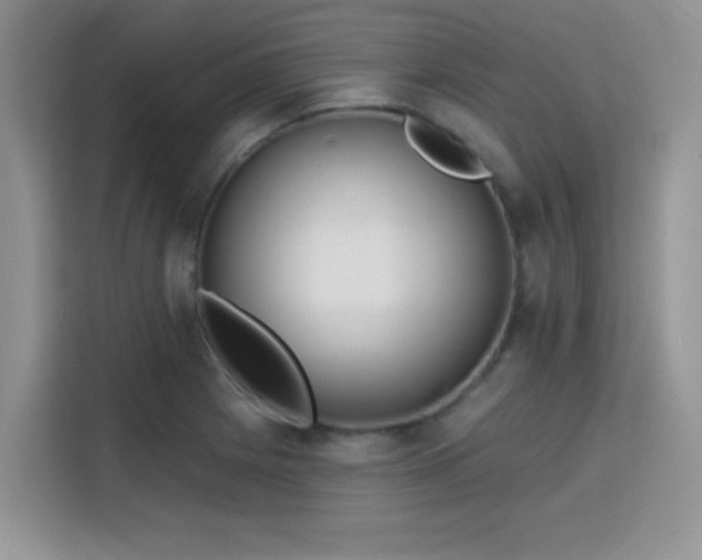 X0000115791225200911201325