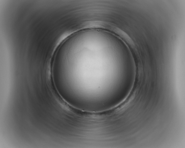 X0000115791226200911201325