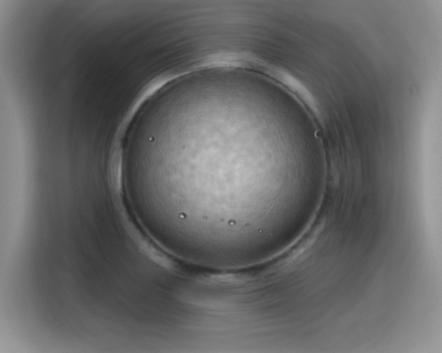 X0000115791227200911201325