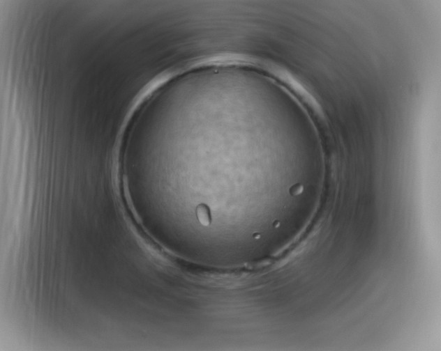 X0000115791229200911201325