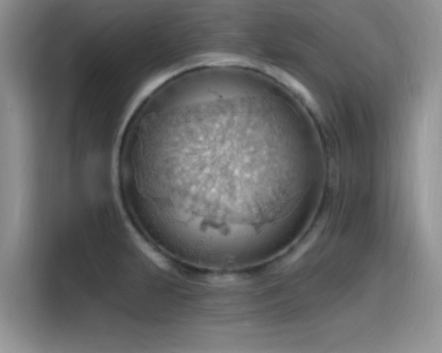 X0000115791231200911201325