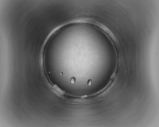 X0000115791232200911201325