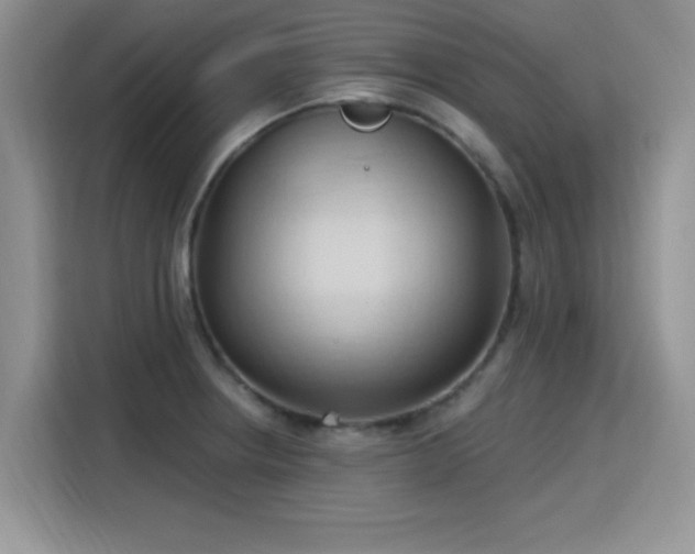 X0000115791234200911201325