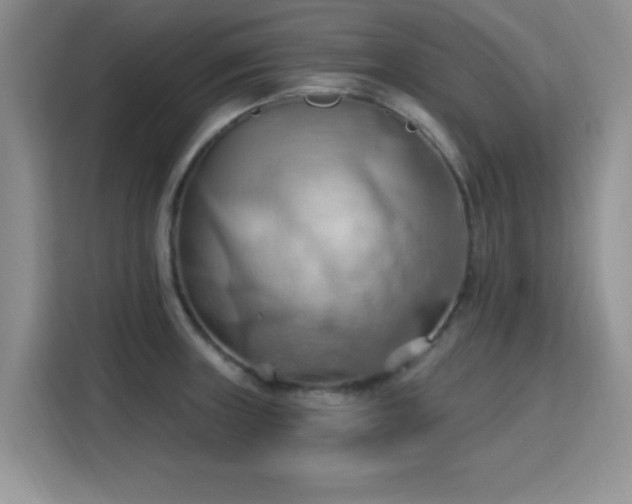 X0000115791235200911201325