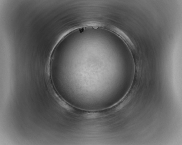 X0000115791236200911201325