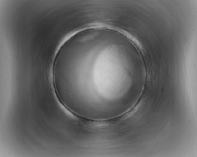 X0000115791239200911201325