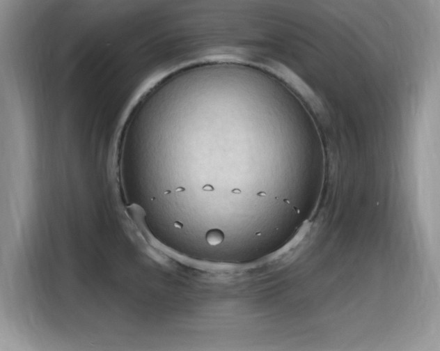 X0000115791240200911201325