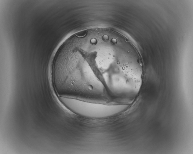 X0000115791243200911201325