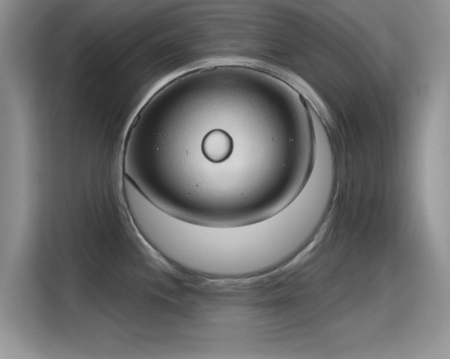 X0000115791244200911201325