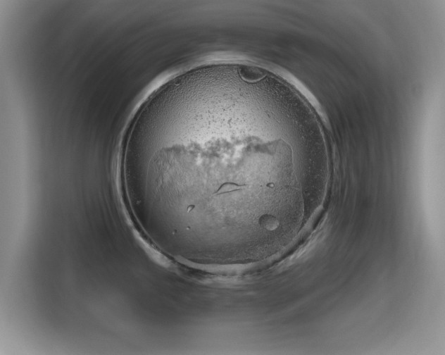 X0000115791245200911201326