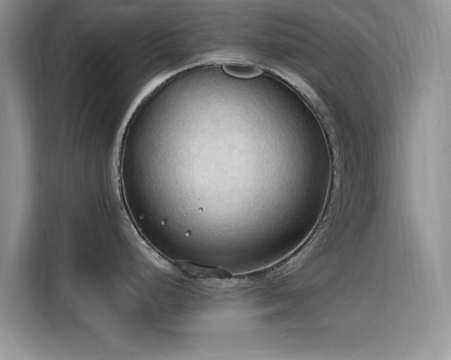 X0000115791248200911201326