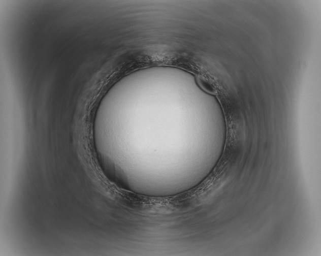 X0000115791249200911201325