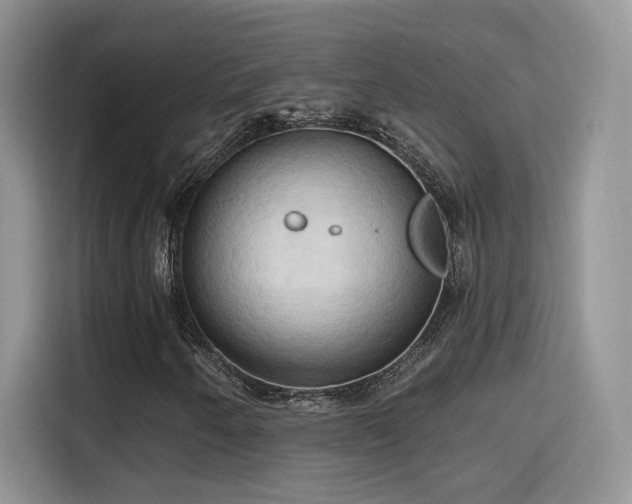 X0000115791250200911201325