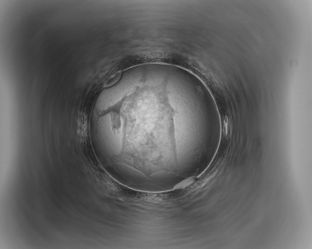 X0000115791251200911201325