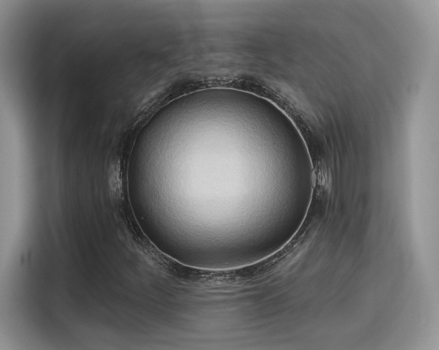 X0000115791252200911201325