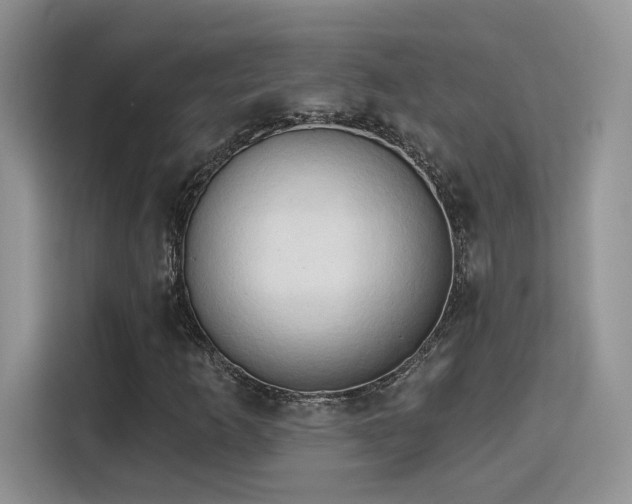 X0000115791253200911201325