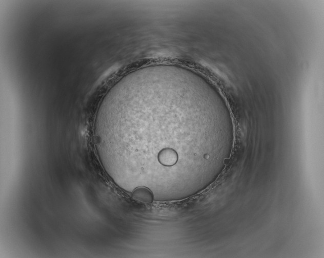 X0000115791254200911201325