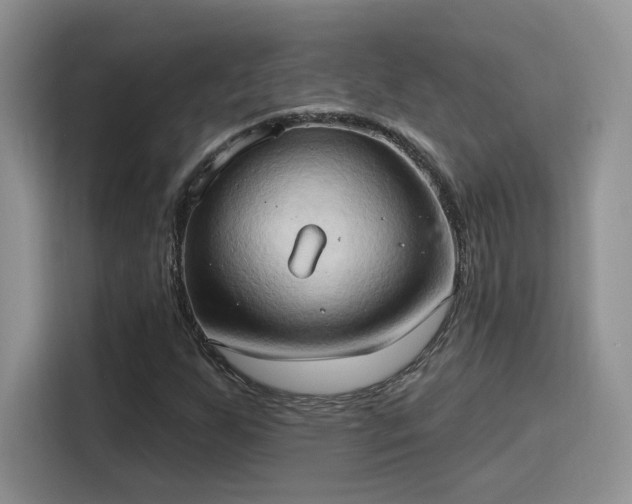 X0000115791255200911201325