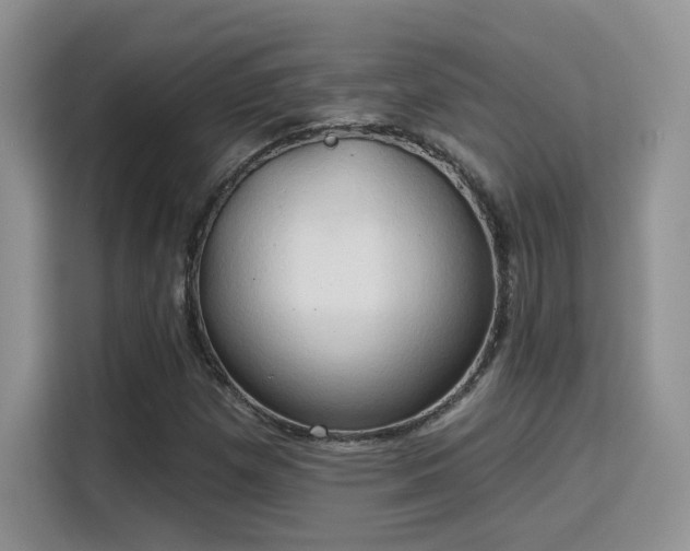 X0000115791257200911201325