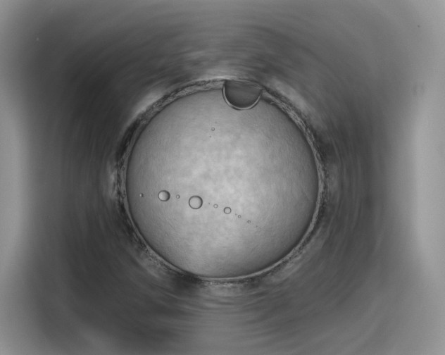 X0000115791258200911201325