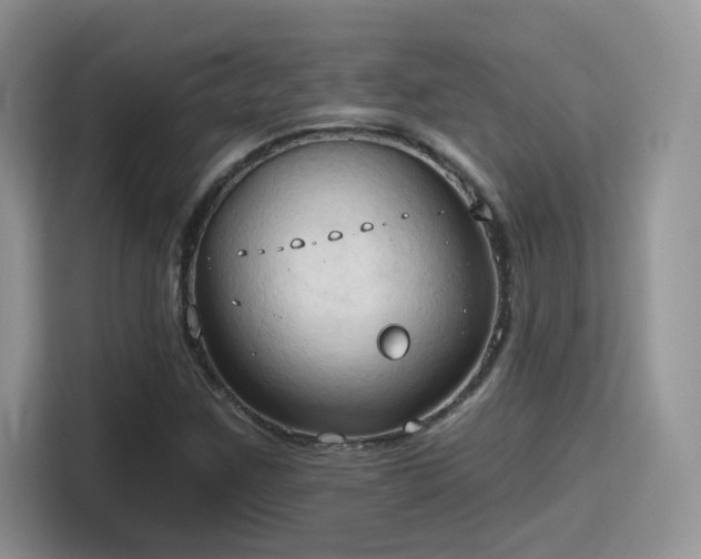 X0000115791259200911201325