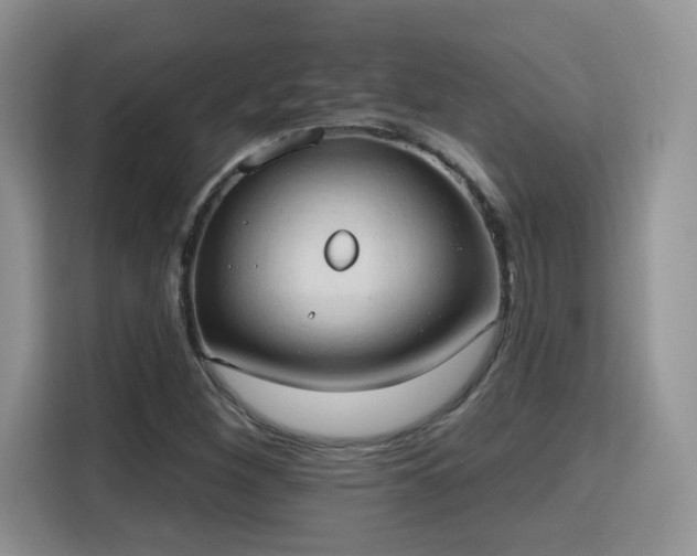 X0000115791260200911201325