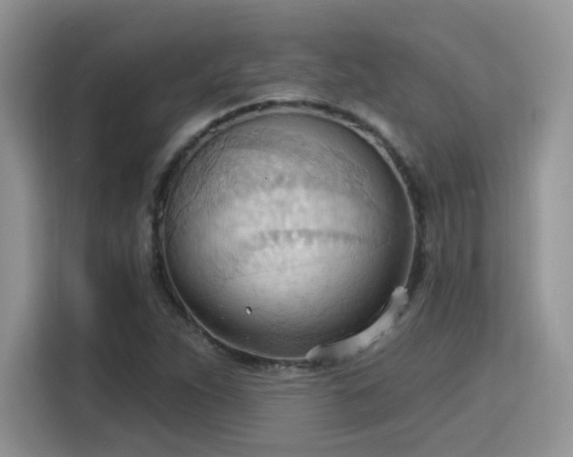 X0000115791263200911201325