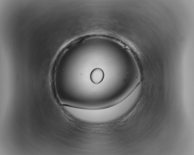 X0000115791264200911201325