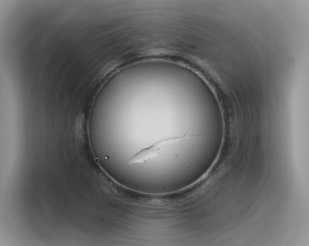 X0000115791265200911201325