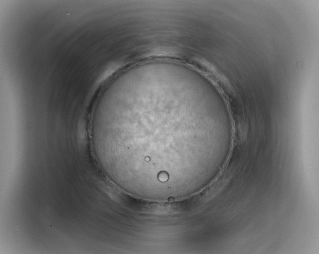 X0000115791266200911201325