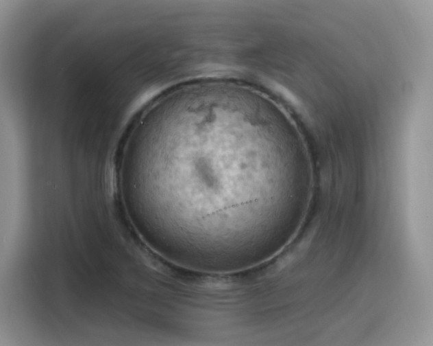 X0000115791267200911201325