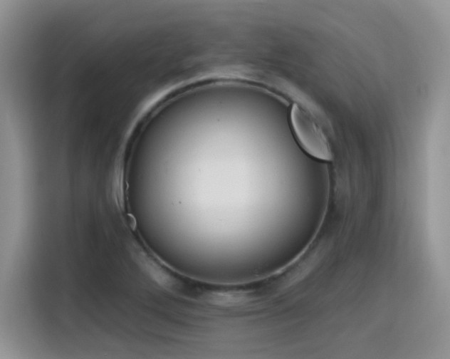 X0000115791272200911201325