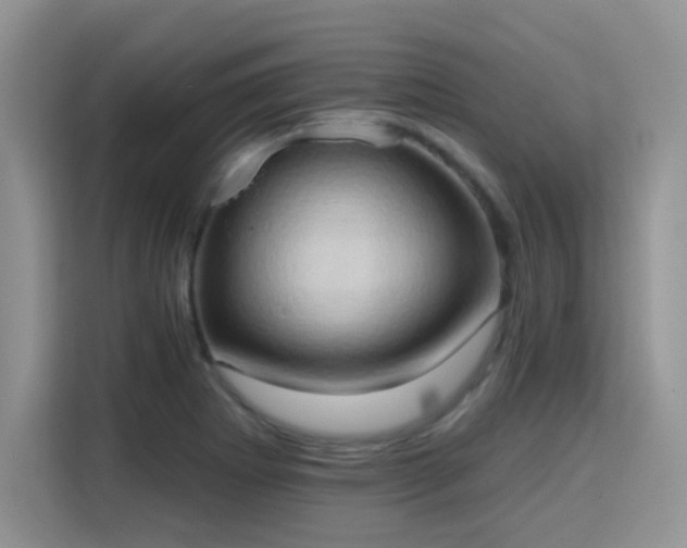 X0000115791273200911201325