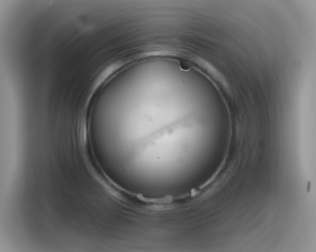 X0000115791274200911201325