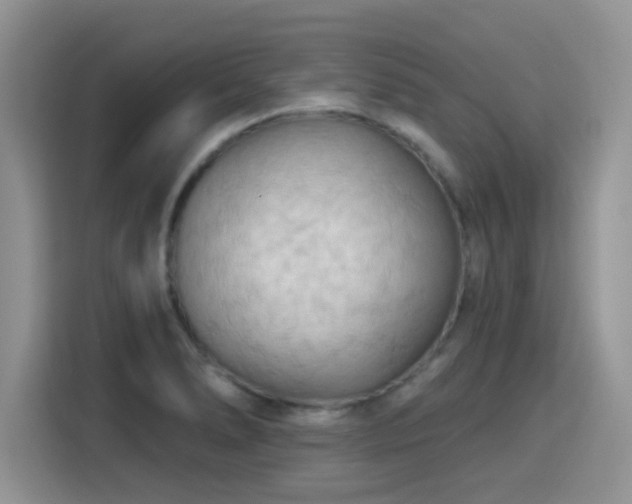 X0000115791278200911201325