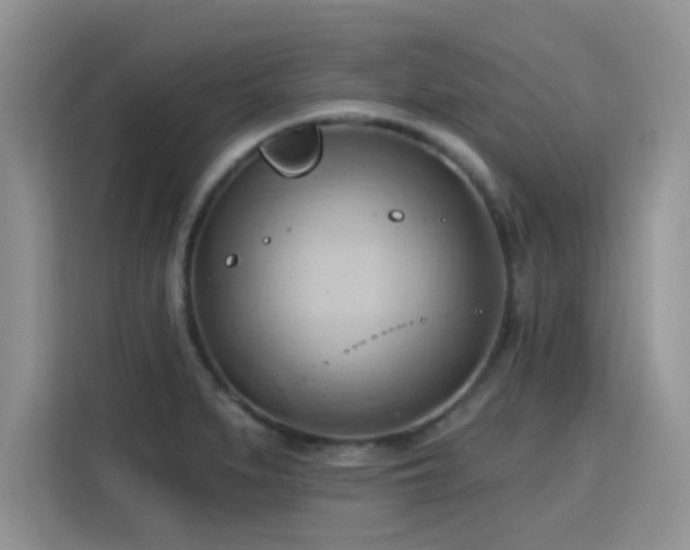 X0000115791279200911201325