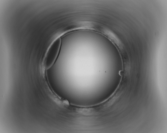 X0000115791284200911201324