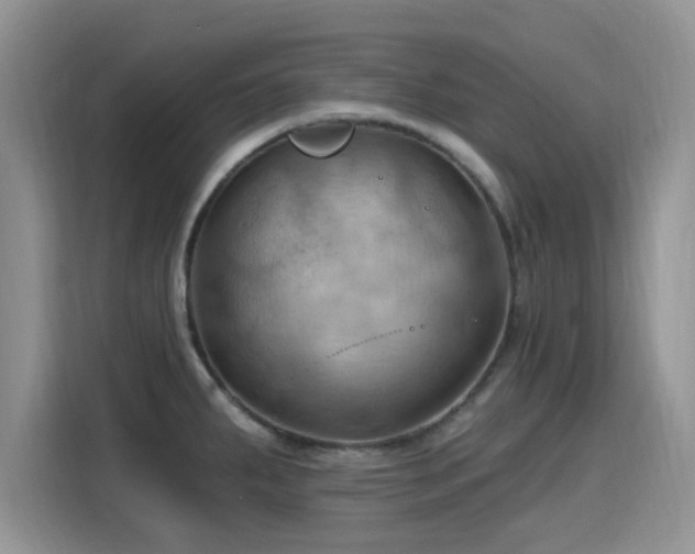 X0000115791287200911201324