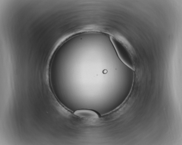 X0000115791288200911201324