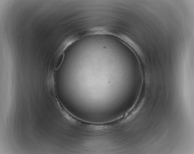 X0000115791289200911201324