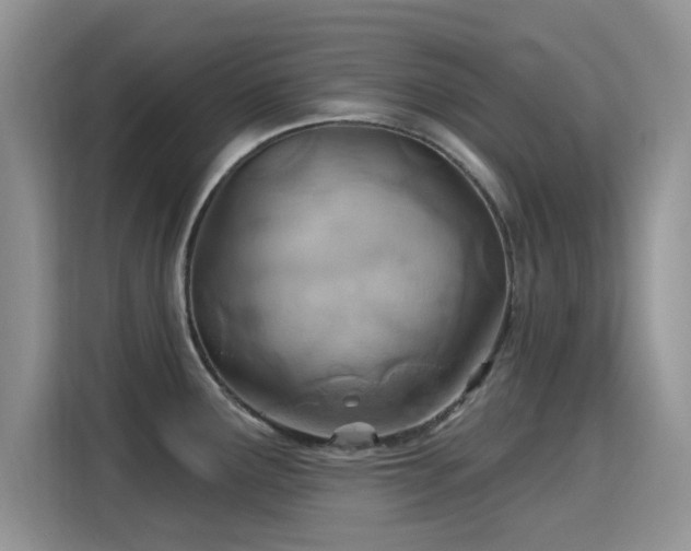 X0000115791291200911201324